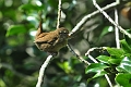 19 05 14_4489_edited-1